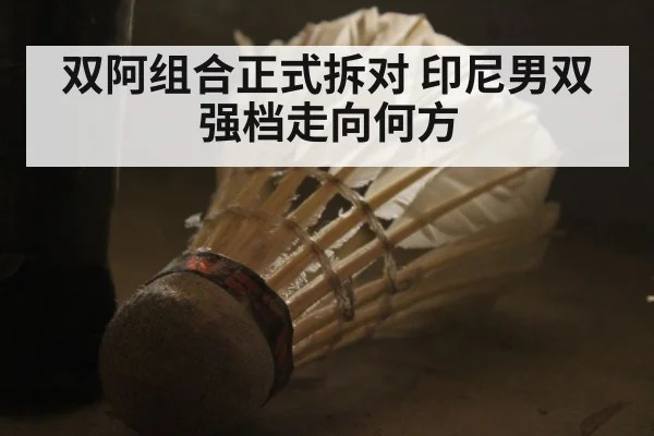双阿组合正式拆对 印尼男双强档走向何方